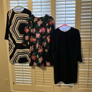 Ann Taylor Dress Lot 6 M